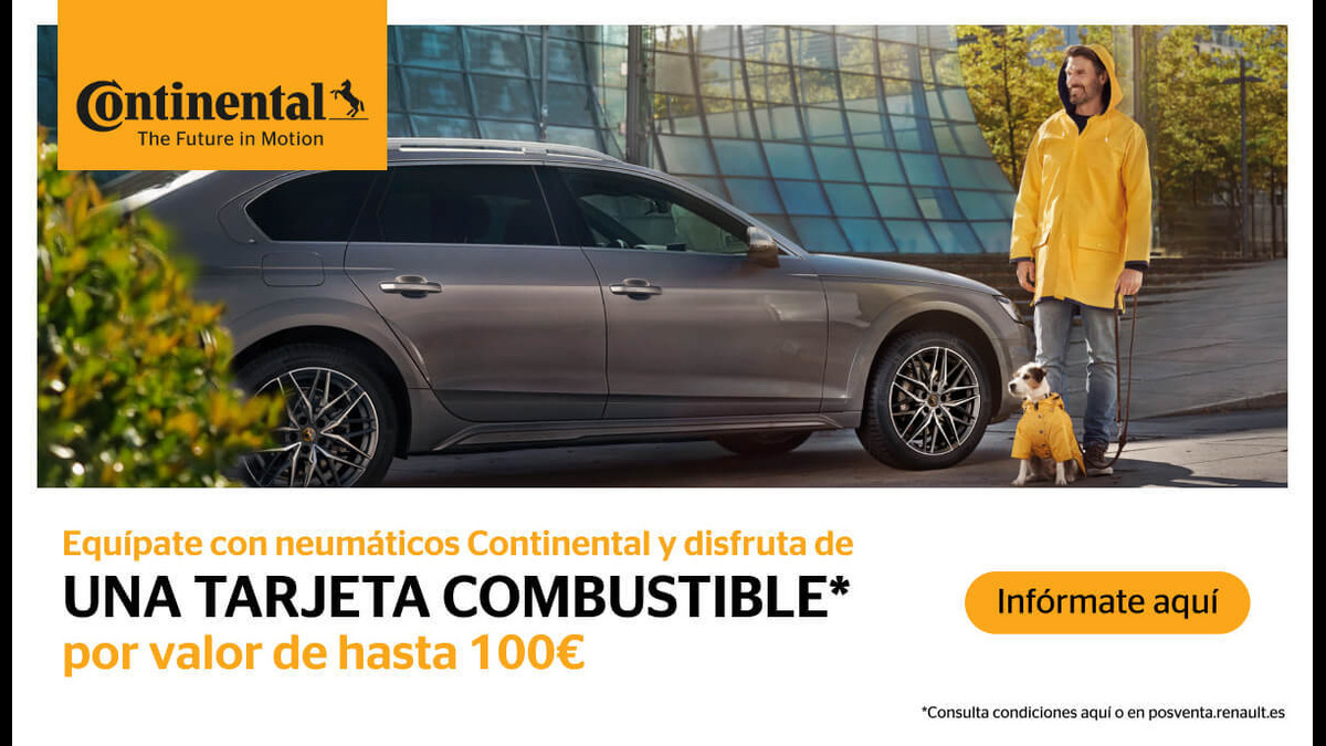 Neumáticos Continental 